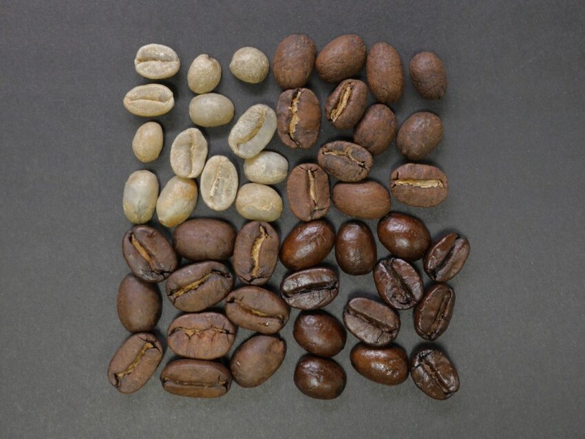 Best light roast coffee