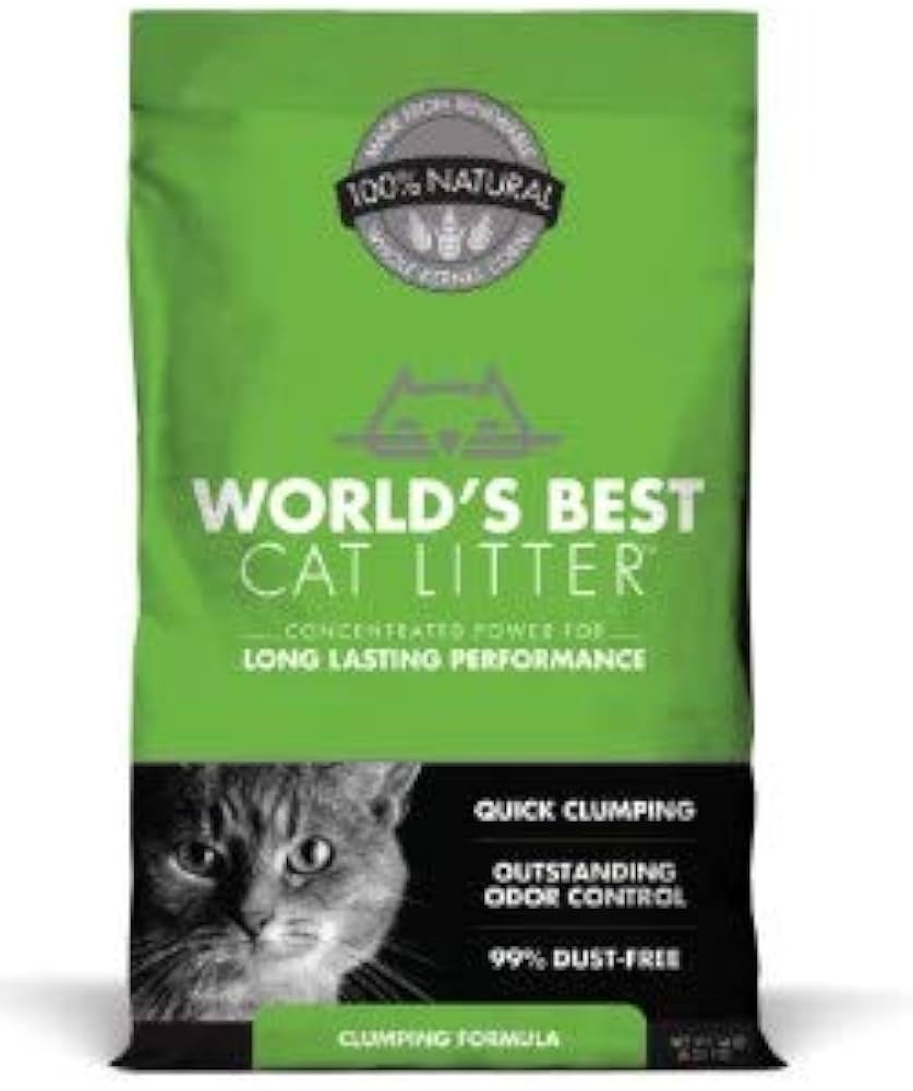 Best litters for odor