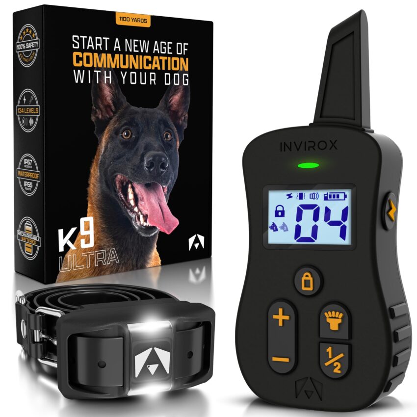Best shock collars for